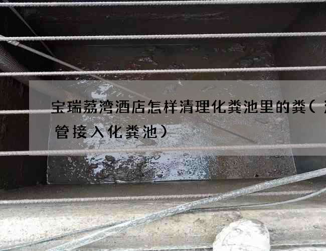 宝瑞荔湾酒店怎样清理化粪池里的粪(污水管接入化粪池)