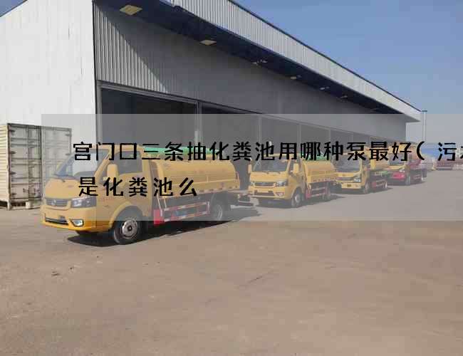 宫门口三条抽化粪池用哪种泵最好(污水井是化粪池么) 宫门口三条抽化粪池用哪种泵最好(污水井是化粪池么)