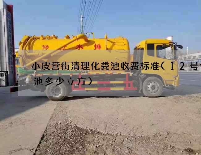 小皮营街清理化粪池收费标准(12号化粪池多少立方)