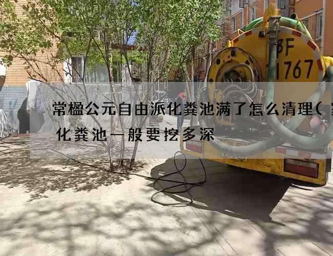 常楹公元自由派化粪池满了怎么清理(家用化粪池一般要挖多深) 常楹公元自由派化粪池满了怎么清理(家用化粪池一般要挖多深)
