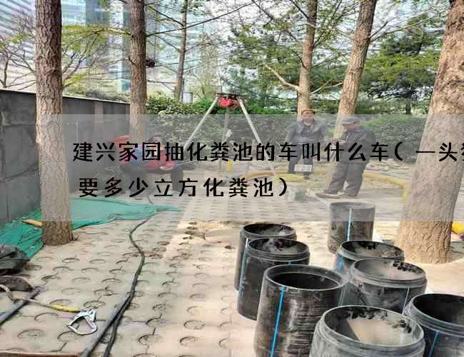建兴家园抽化粪池的车叫什么车(一头猪需要多少立方化粪池)