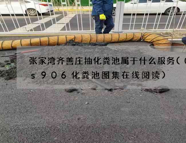 张家湾齐善庄抽化粪池属于什么服务(07s906化粪池图集在线阅读)