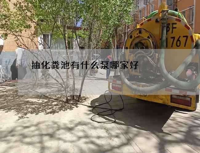 抽化粪池有什么泵哪家好
