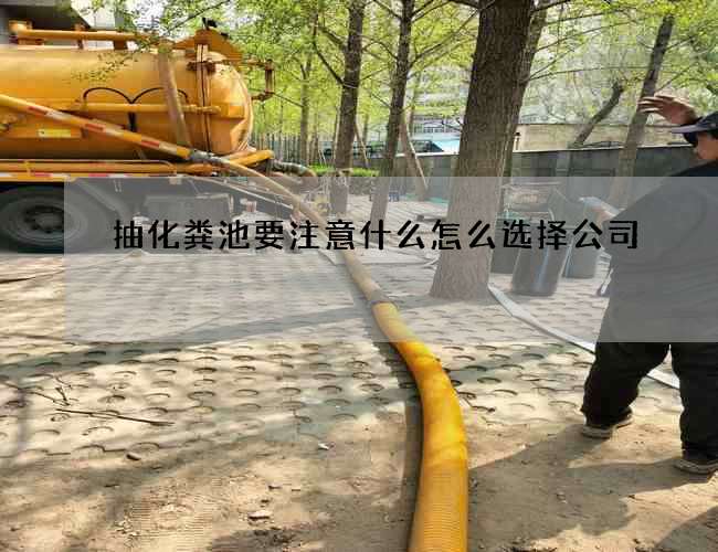 抽化粪池要注意什么怎么选择公司