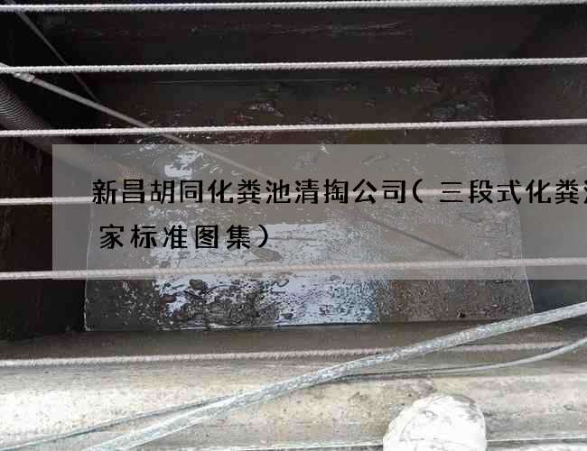新昌胡同化粪池清掏公司(三段式化粪池国家标准图集)