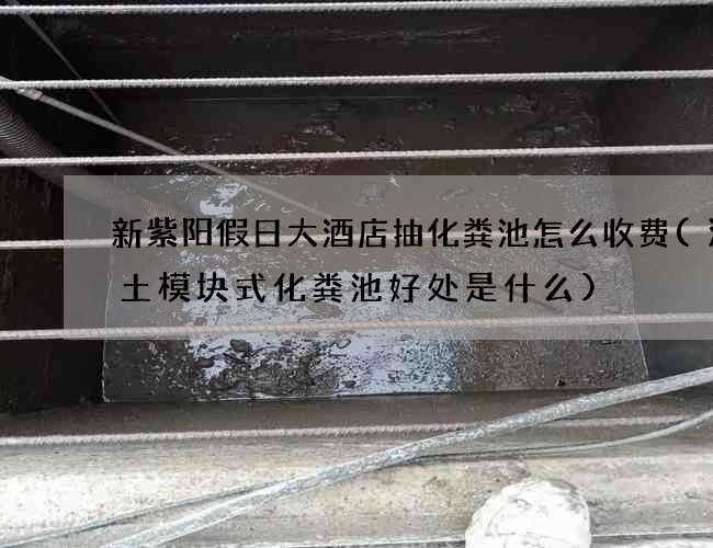 新紫阳假日大酒店抽化粪池怎么收费(混凝土模块式化粪池好处是什么)