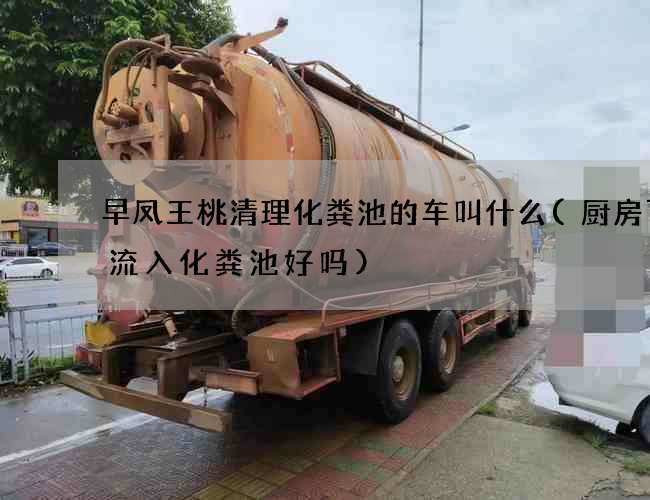 早凤王桃清理化粪池的车叫什么(厨房下水流入化粪池好吗)