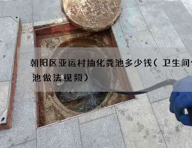 朝阳区亚运村抽化粪池多少钱(卫生间化粪池做法视频)
