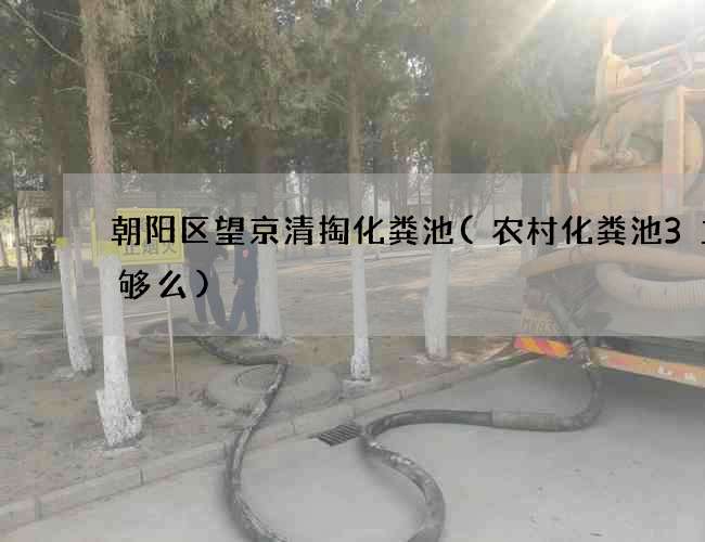 朝阳区望京清掏化粪池(农村化粪池3立方够么)