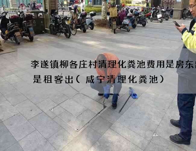 李遂镇柳各庄村清理化粪池费用是房东出还是租客出(咸宁清理化粪池)