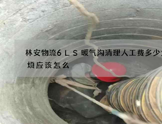 林安物流6LS暖气沟清理人工费多少太麻烦应该怎么