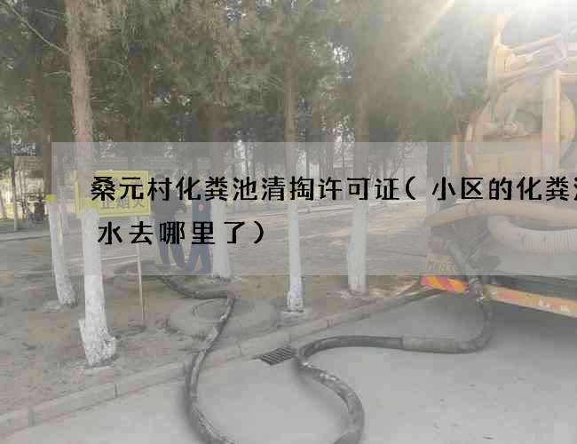 桑元村化粪池清掏许可证(小区的化粪池的水去哪里了)