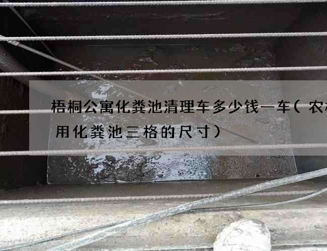 梧桐公寓化粪池清理车多少钱一车(农村家用化粪池三格的尺寸)