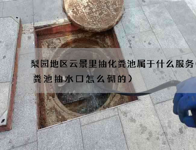 梨园地区云景里抽化粪池属于什么服务(化粪池抽水口怎么砌的)