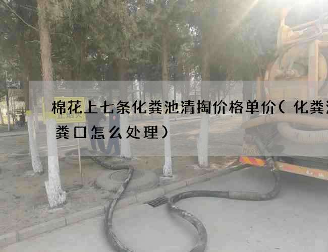 棉花上七条化粪池清掏价格单价(化粪池出粪口怎么处理)