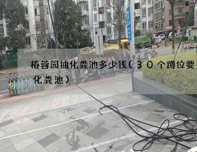 椿蓉园抽化粪池多少钱(30个蹲位要多大化粪池)