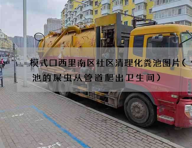 模式口西里南区社区清理化粪池图片(化粪池的屎虫从管道爬出卫生间)