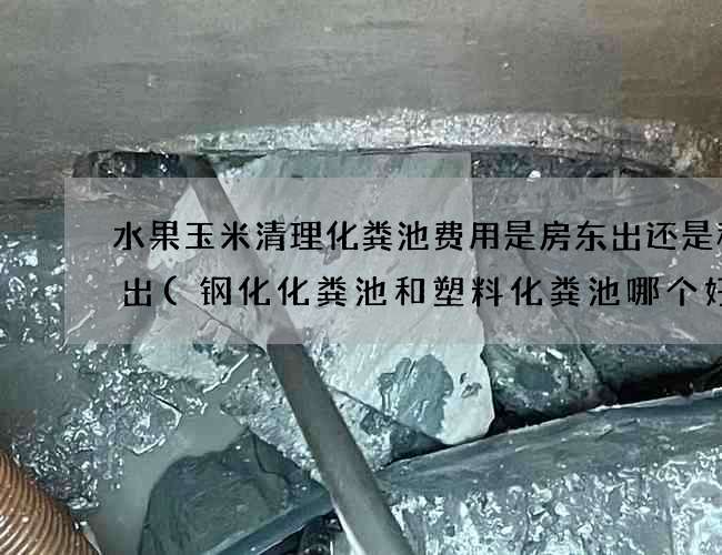 水果玉米清理化粪池费用是房东出还是租客出(钢化化粪池和塑料化粪池哪个好)