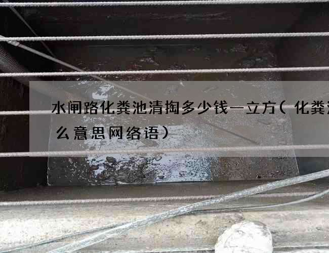 水闸路化粪池清掏多少钱一立方(化粪池什么意思网络语)