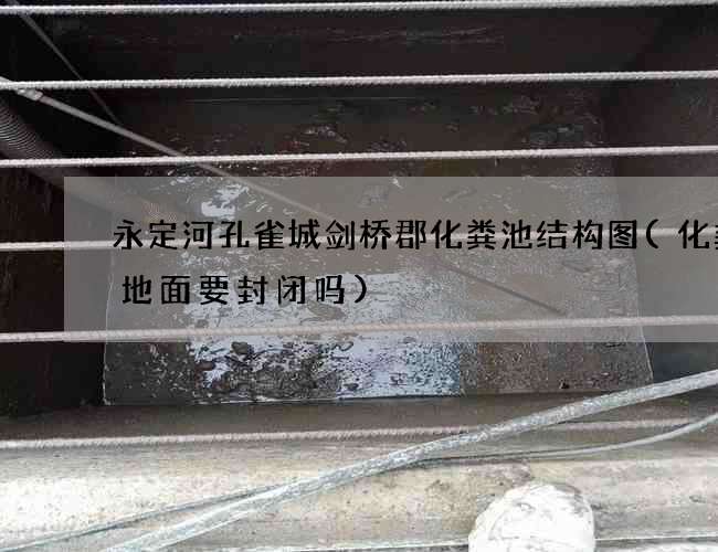 永定河孔雀城剑桥郡化粪池结构图(化粪池地面要封闭吗)