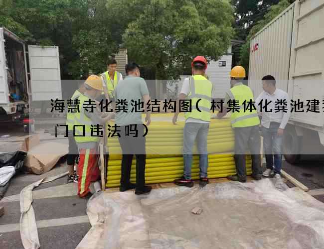 海慧寺化粪池结构图(村集体化粪池建我家门口违法吗)