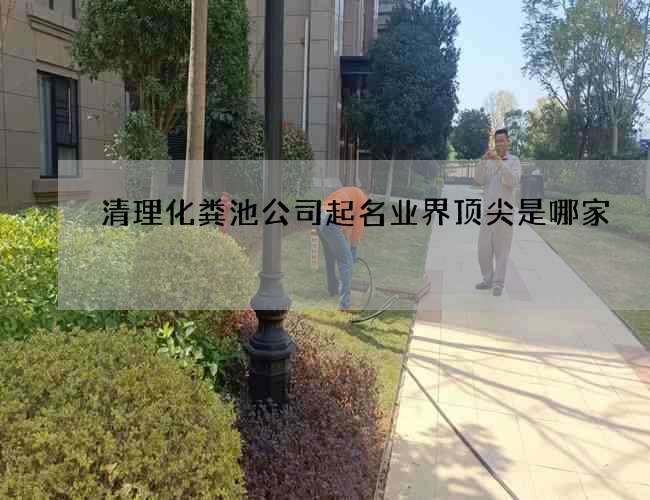 清理化粪池公司起名业界顶尖是哪家