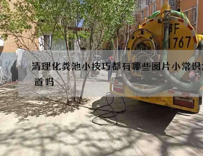 清理化粪池小技巧都有哪些图片小常识您知道吗