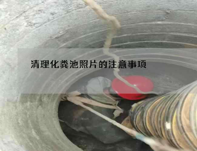 清理化粪池照片的注意事项