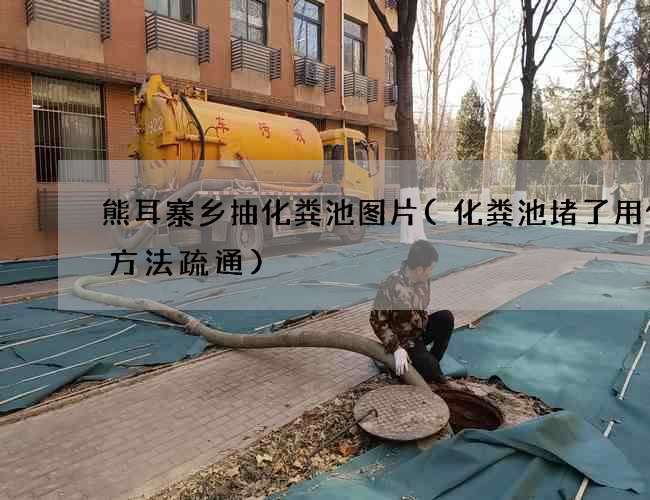 熊耳寨乡抽化粪池图片(化粪池堵了用什么方法疏通)