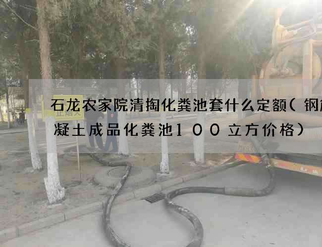 石龙农家院清掏化粪池套什么定额(钢筋混凝土成品化粪池100立方价格)