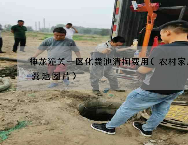 神龙潼关一区化粪池清掏费用(农村家用化粪池图片)