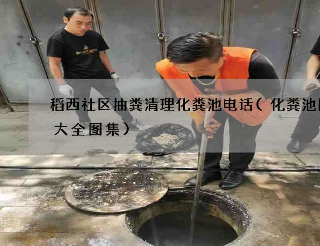 稻西社区抽粪清理化粪池电话(化粪池图片大全图集)
