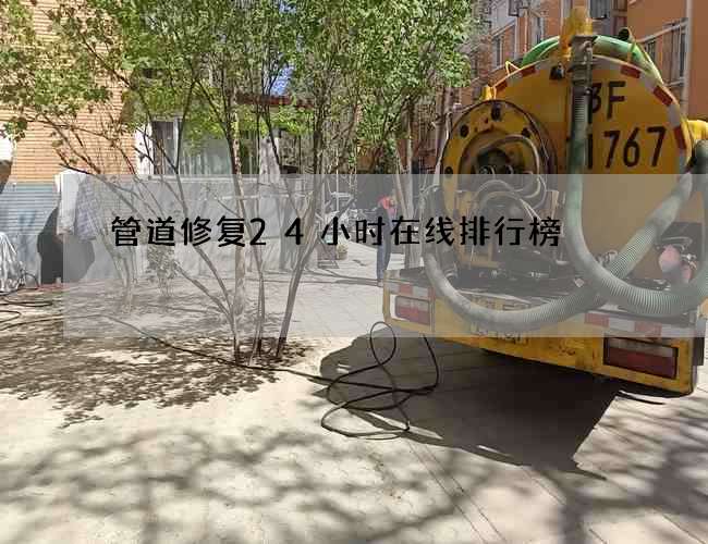 管道修复24小时在线排行榜