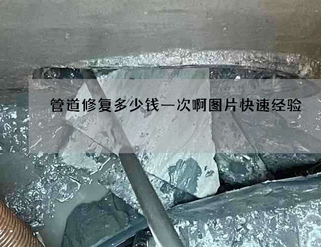 管道修复多少钱一次啊图片快速经验