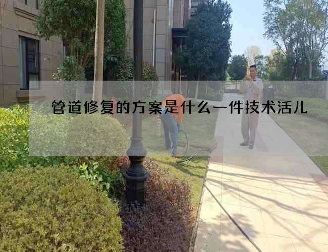 管道修复的方案是什么一件技术活儿
