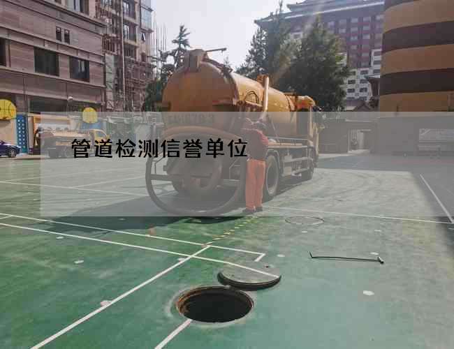 管道检测信誉单位