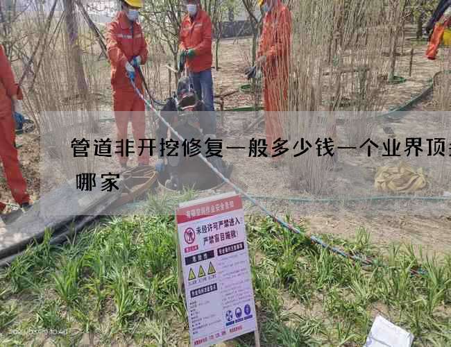 管道非开挖修复一般多少钱一个业界顶尖是哪家