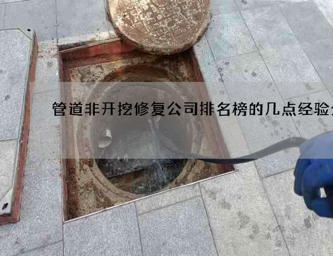 管道非开挖修复公司排名榜的几点经验分享