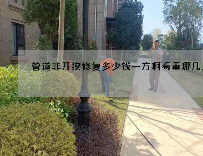 管道非开挖修复多少钱一方啊看重哪几点 管道非开挖修复多少钱一方啊看重哪几点