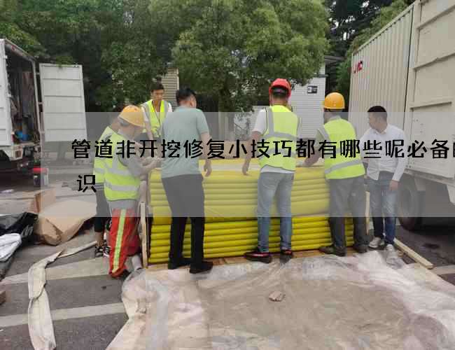 管道非开挖修复小技巧都有哪些呢必备的常识