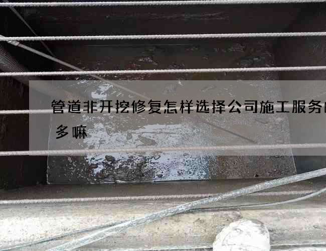 管道非开挖修复怎样选择公司施工服务的人多嘛