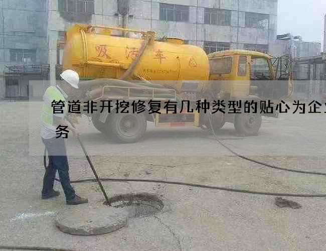 管道非开挖修复有几种类型的贴心为企业服务