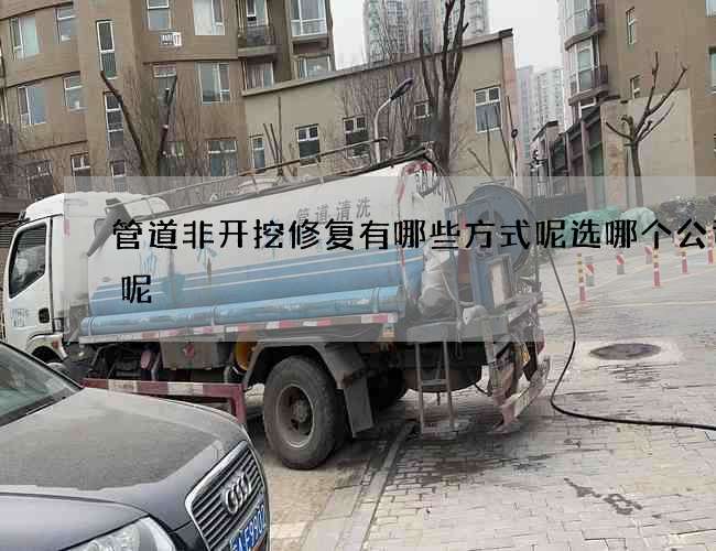 管道非开挖修复有哪些方式呢选哪个公司好呢