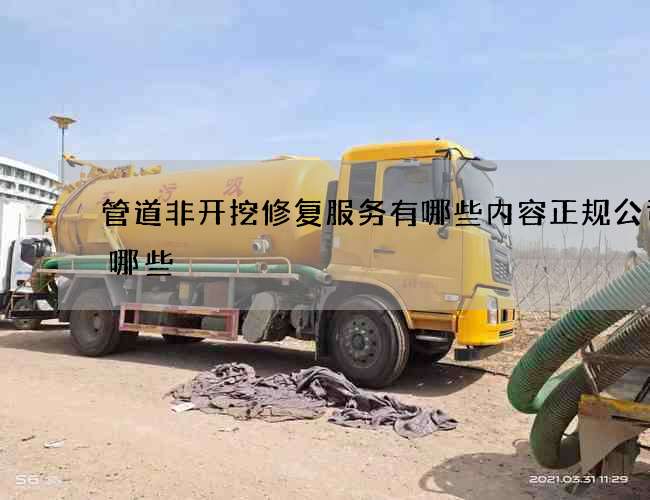 管道非开挖修复服务有哪些内容正规公司有哪些