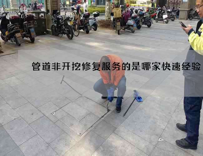 管道非开挖修复服务的是哪家快速经验