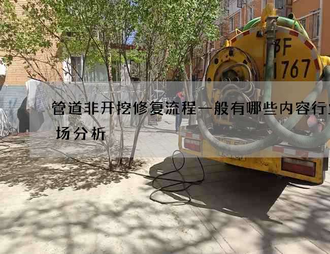 管道非开挖修复流程一般有哪些内容行业市场分析