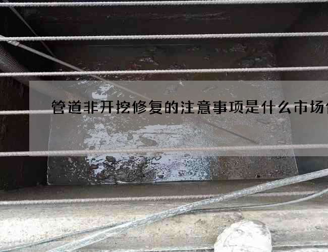 管道非开挖修复的注意事项是什么市场价格
