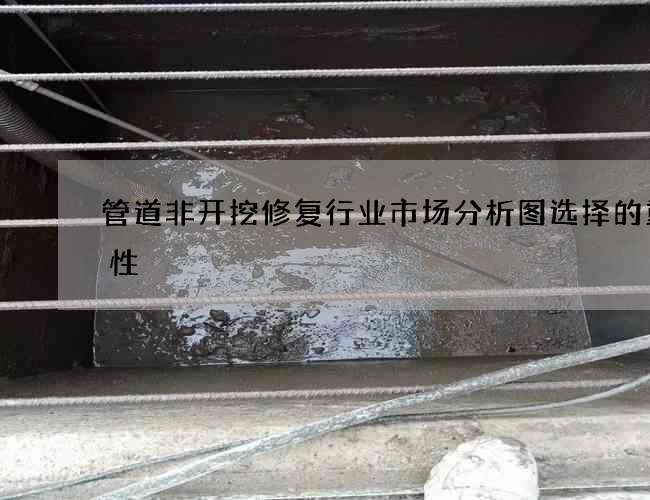 管道非开挖修复行业市场分析图选择的重要性