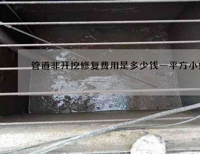 管道非开挖修复费用是多少钱一平方小妙招