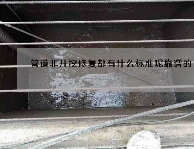 管道非开挖修复都有什么标准呢靠谱的